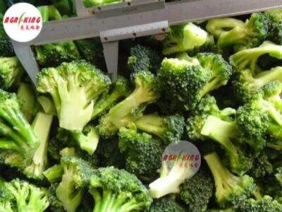 Fresh Broccoli Excellence: From Farm to Table