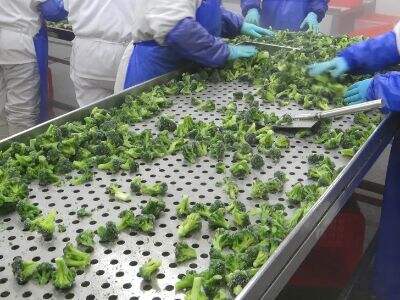 Building Trust Through Stringent Food Safety Certifications