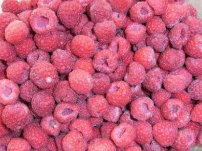 Navigating Global Logistics for Frozen Food Success