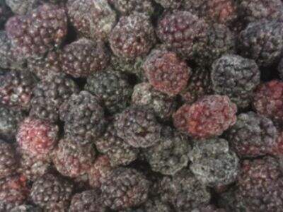 The Wonderful Uses of Frozen Fruit in Everyday Cooking and Baking