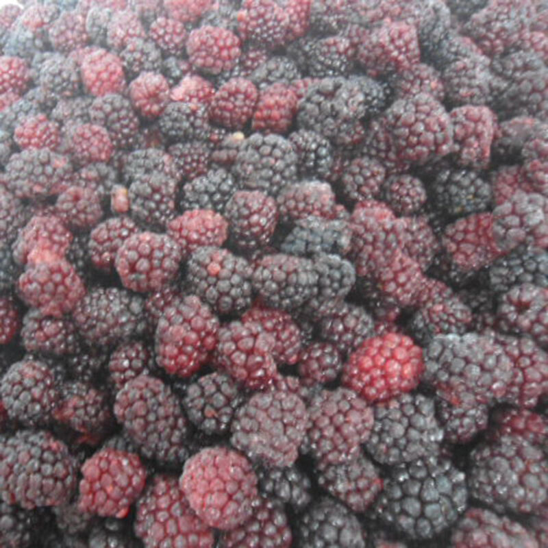 Frozen Blackberry