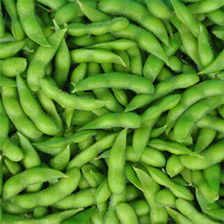 Frozen Edamame