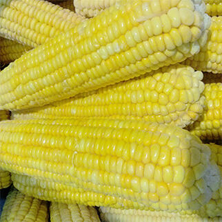 Frozen Sweet Corn