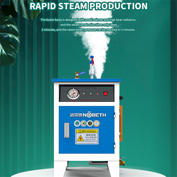 Utilizing a Small Electric Steam Generator