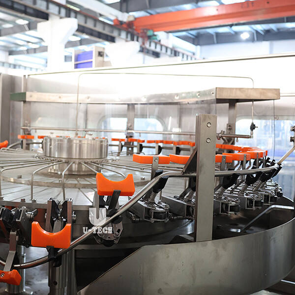 Choosing the Right Equipment for Your Wine Bottling Needs