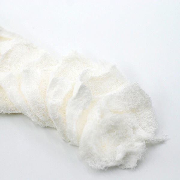 Chitosan trong băng gạc cho việc lành thương tiên tiến