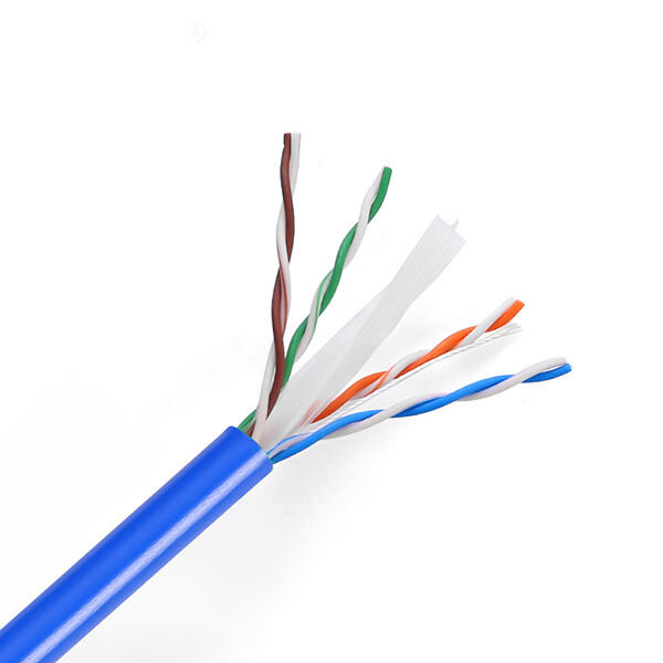 Just how to Utilize Cable Patch Cat 6