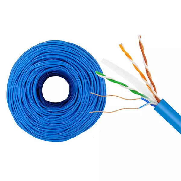 Utilize of Patch Cables Cat 6