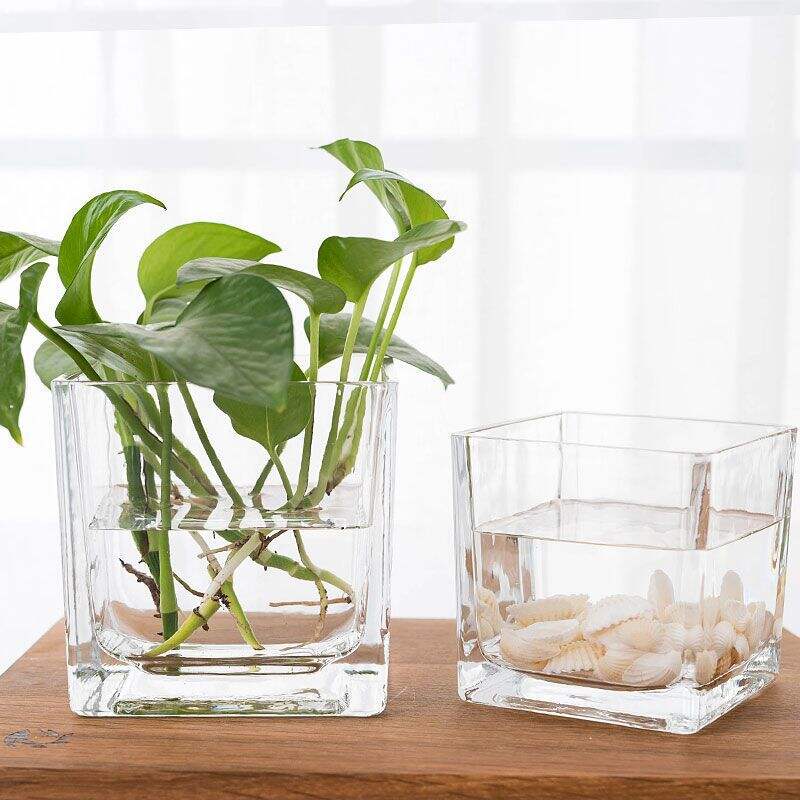 Square Glass Vase