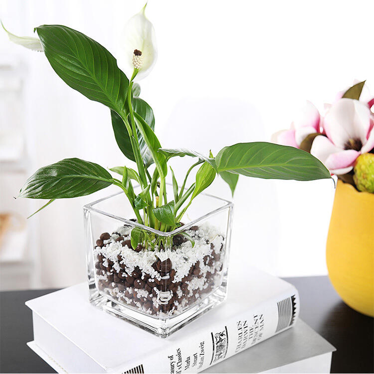 Square Glass Vase