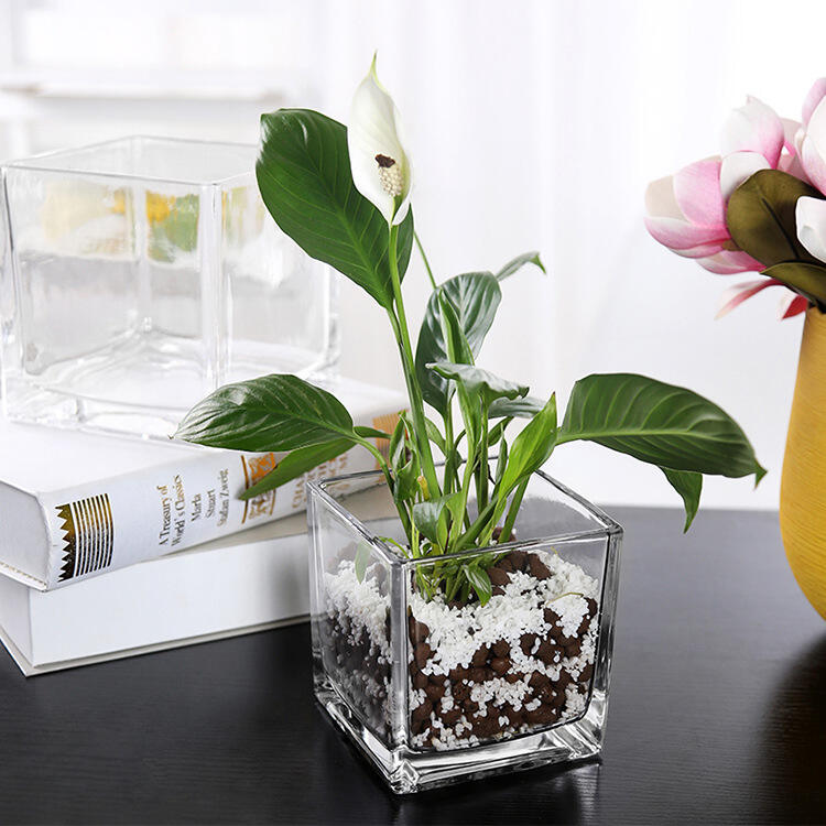 Square Glass Vase