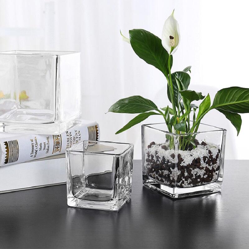 Square Glass Vase