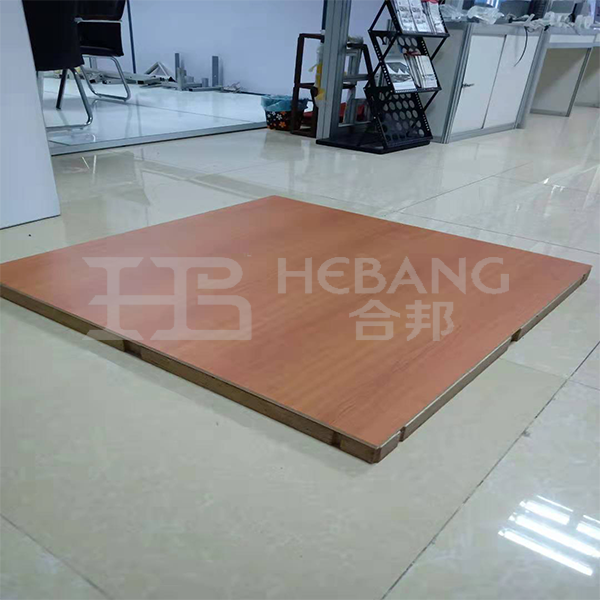 HB-DT016 Floor System