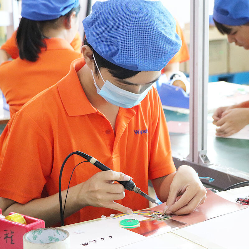 Module inspection