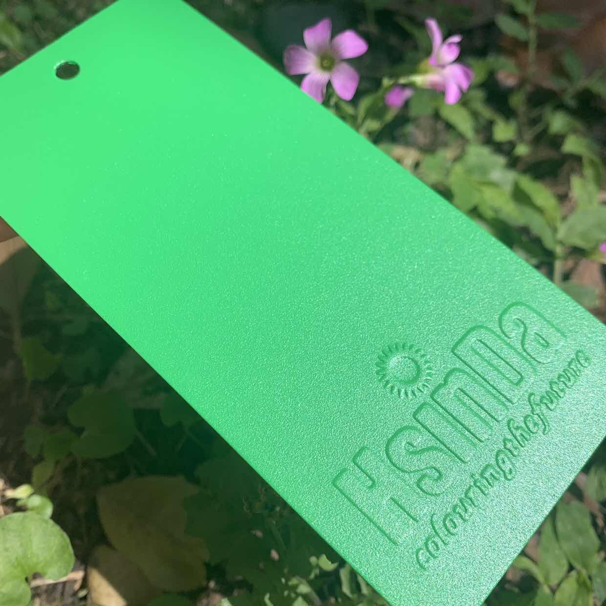Hindi maikakailang Tinitis at Pagganap ng Powder Coating na Panlaban sa mga Ugat