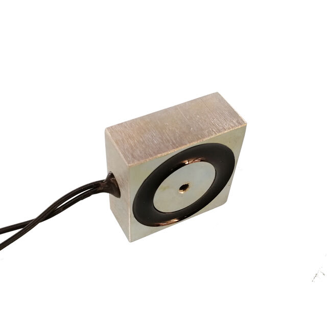 Landa H404017 – Électroaimant carré, force de maintien de 25 kg / 250 N, tension 12 V / 24 V, destiné aux bras robotiques industriels