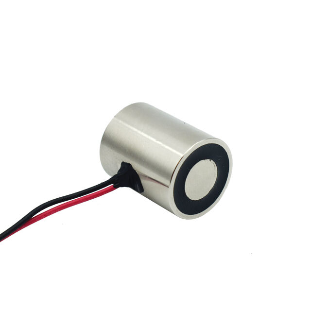Permanente Elektromagneet