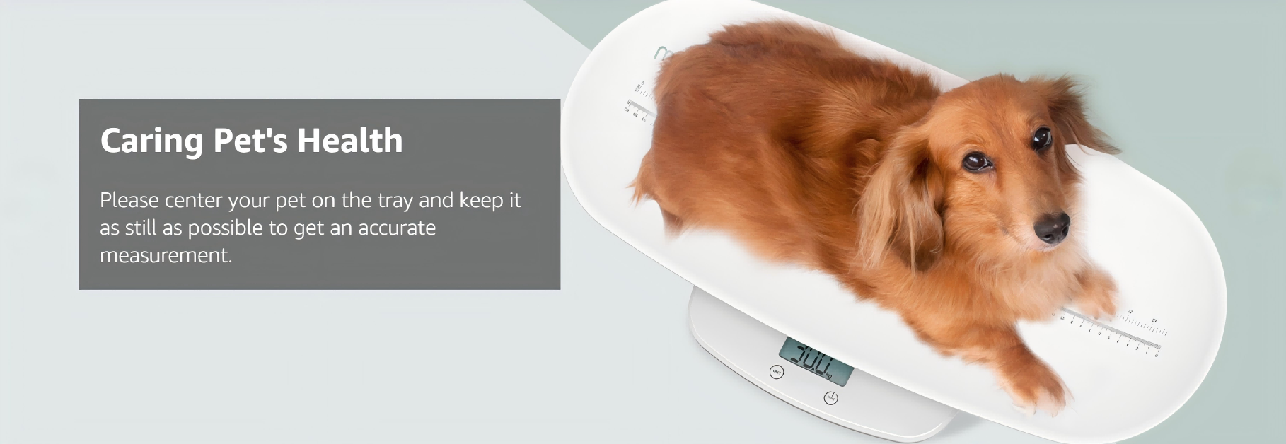 This Scale for Young Children Allows You to Change Your Reading Perspective-4