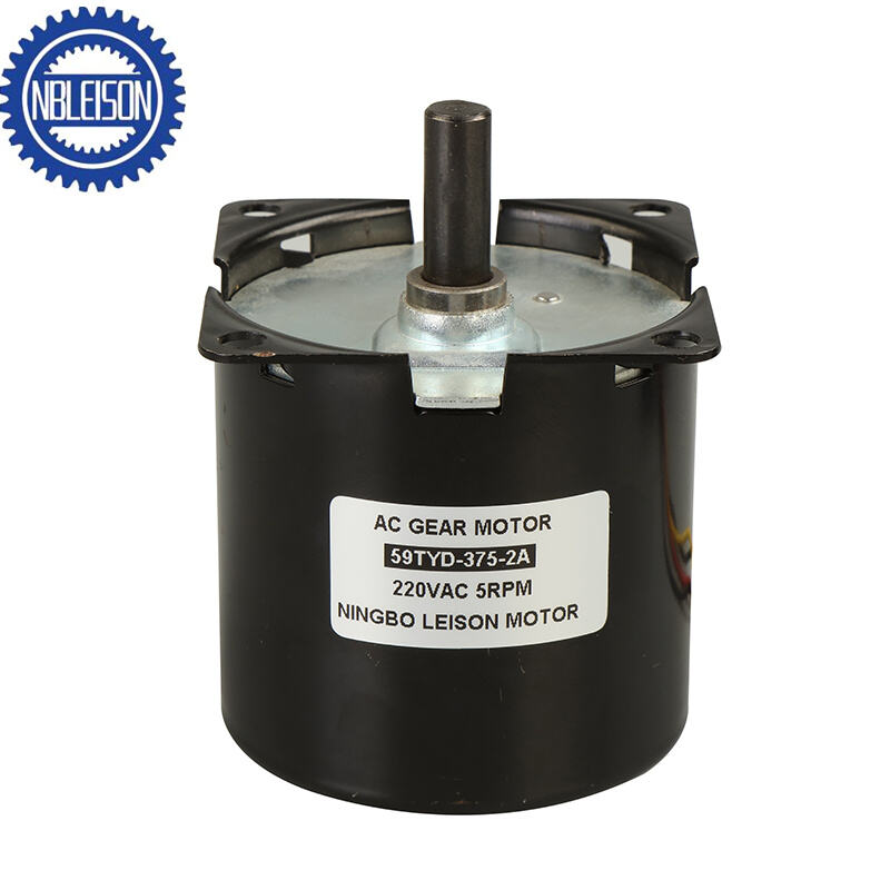 LS-59TYD-4A Ac Synchronous Motor