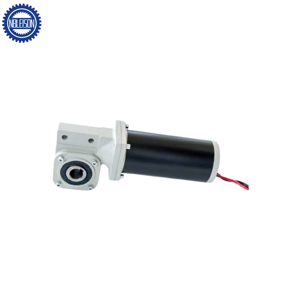 LS-90ZYJHG DC Worm Gear Motor