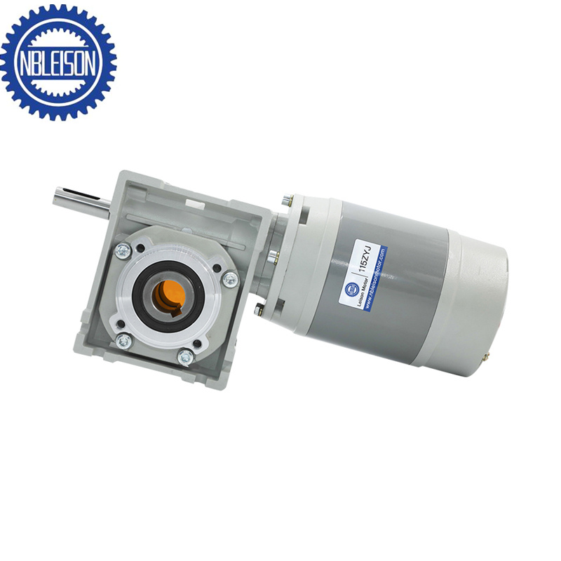 LS-115ZYJ DC Worm Gear Motor