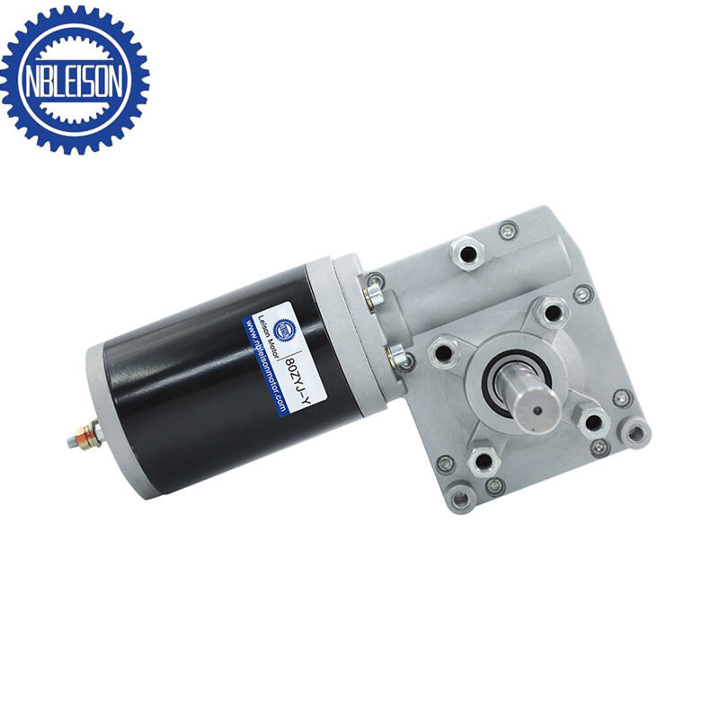 LS-80ZYJY-01 DC Worm Gear Motor