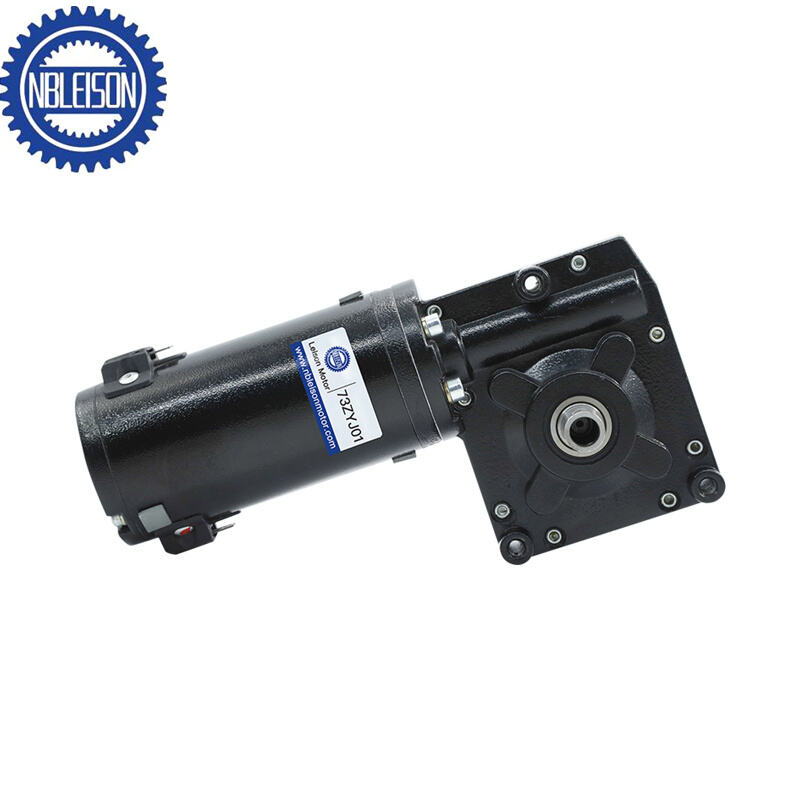 LS-73ZYJ01 DC Worm Gear Motor