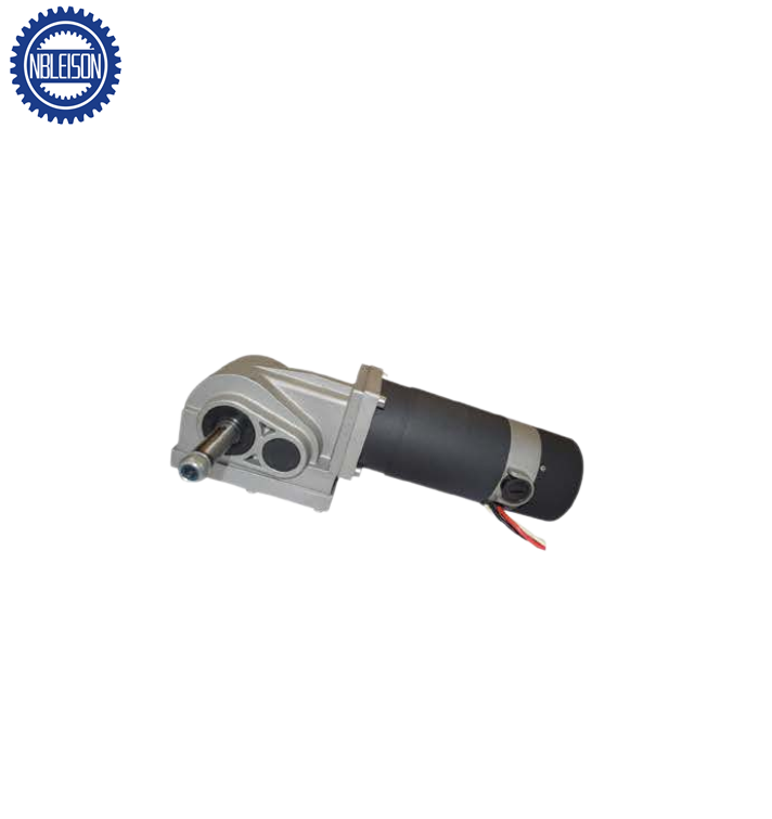 LS-80ZYJL DC Worm Gear Motor