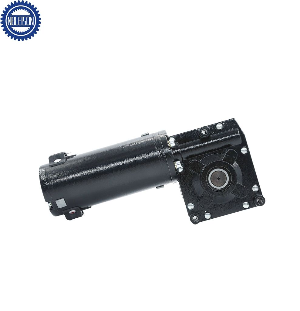 LS-90ZYJY DC Worm Gear Motor