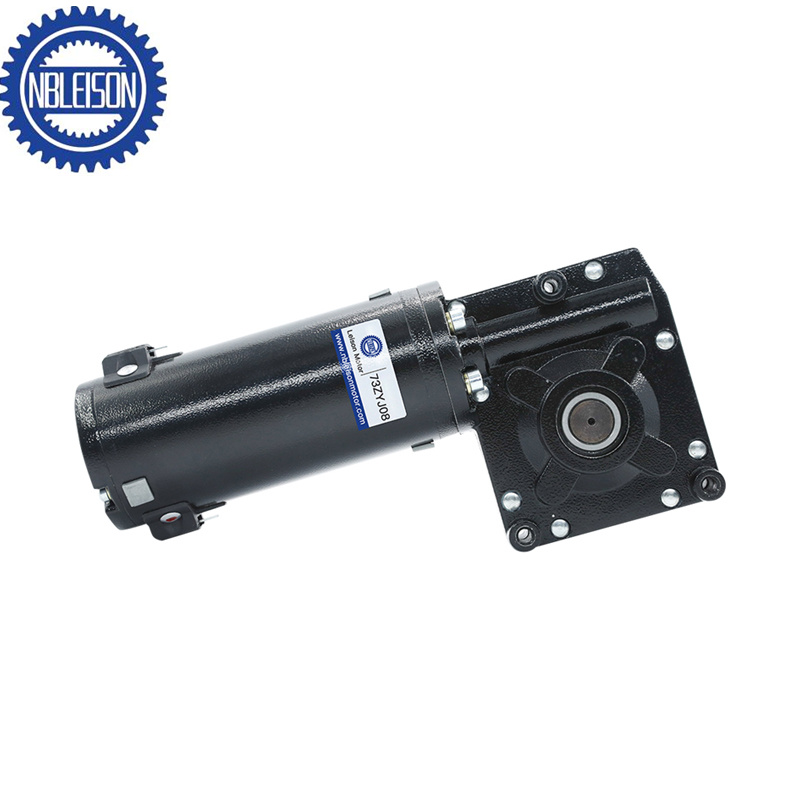 LS-73ZYJ08 DC Worm Gear Motor