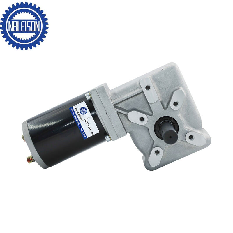 LS-80ZYJW DC Worm Gear Motor