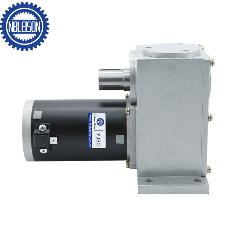 LS-90ZYJN DC Worm Gear Motor