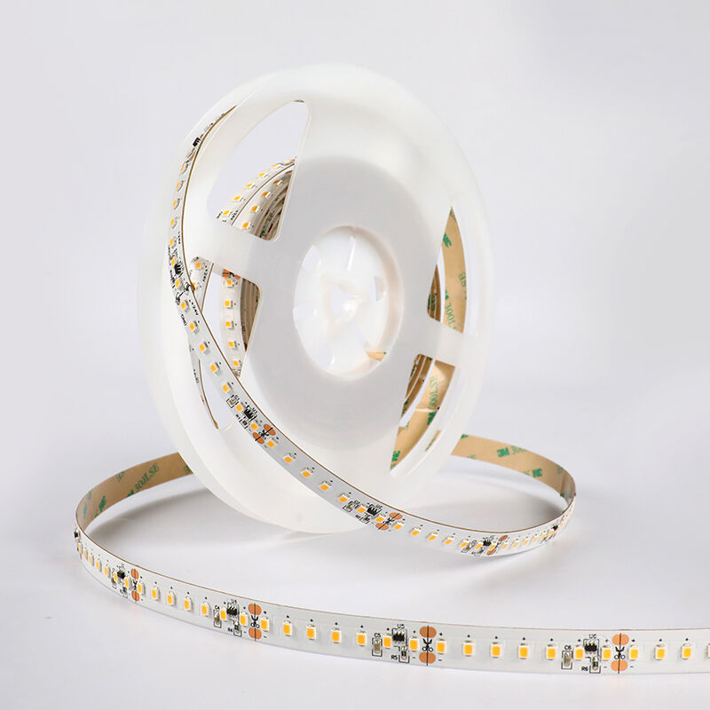 PRO White 2835 120LEDs LED Strip Light | PRO White | Lumimore