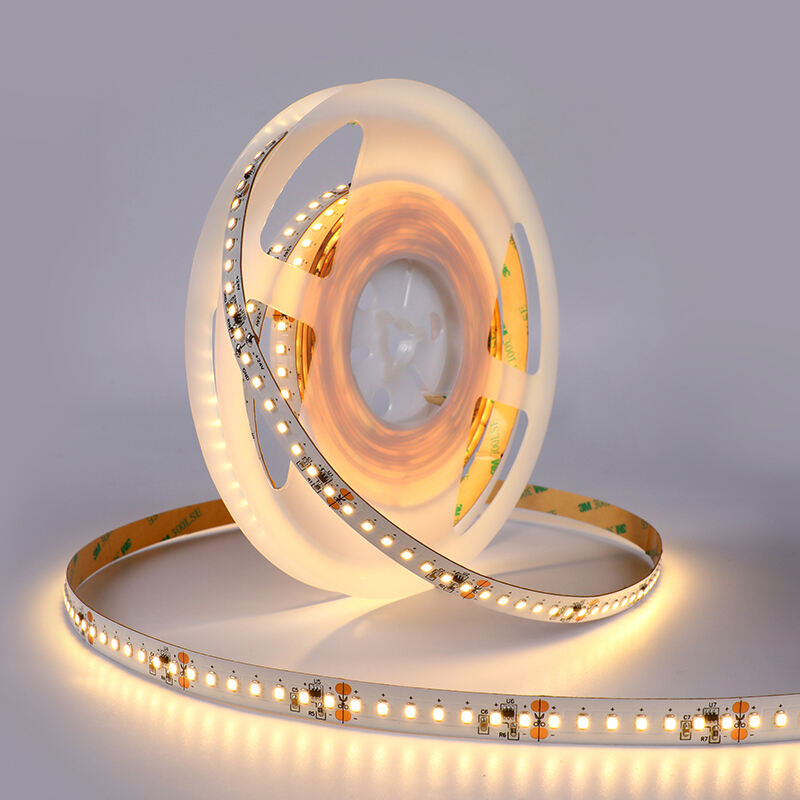 PRO White 2835 120LEDs LED Strip Light factory