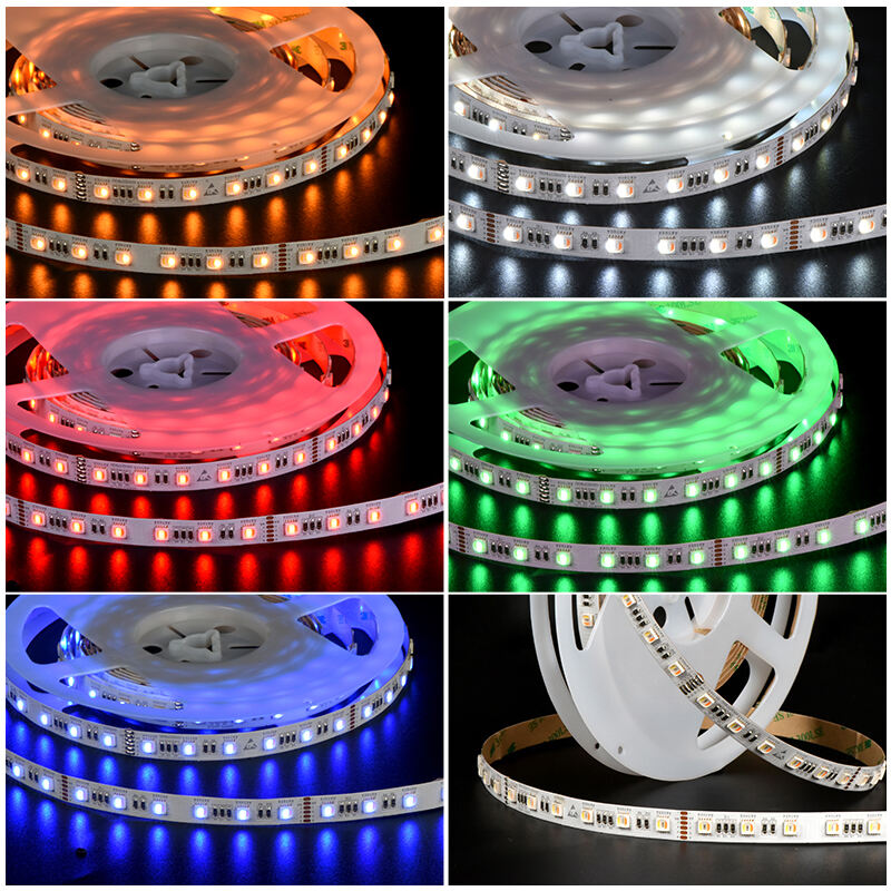 RGBTW 5050SMD 60leds/m LED Strip Light factory