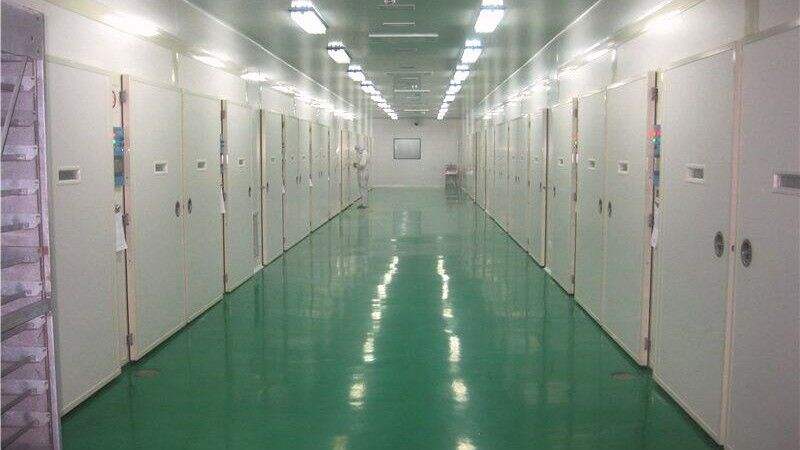 Como escolher a incubadora de ovos certa para as suas necessidades?