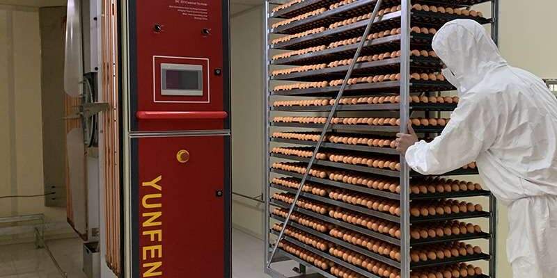 インキュベーター（セッター）とハatcherの違い