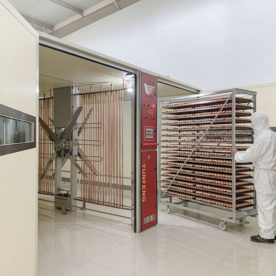 Wie stellen moderne Brutschranken eine konstante Temperatur und Luftfeuchtigkeit sicher?