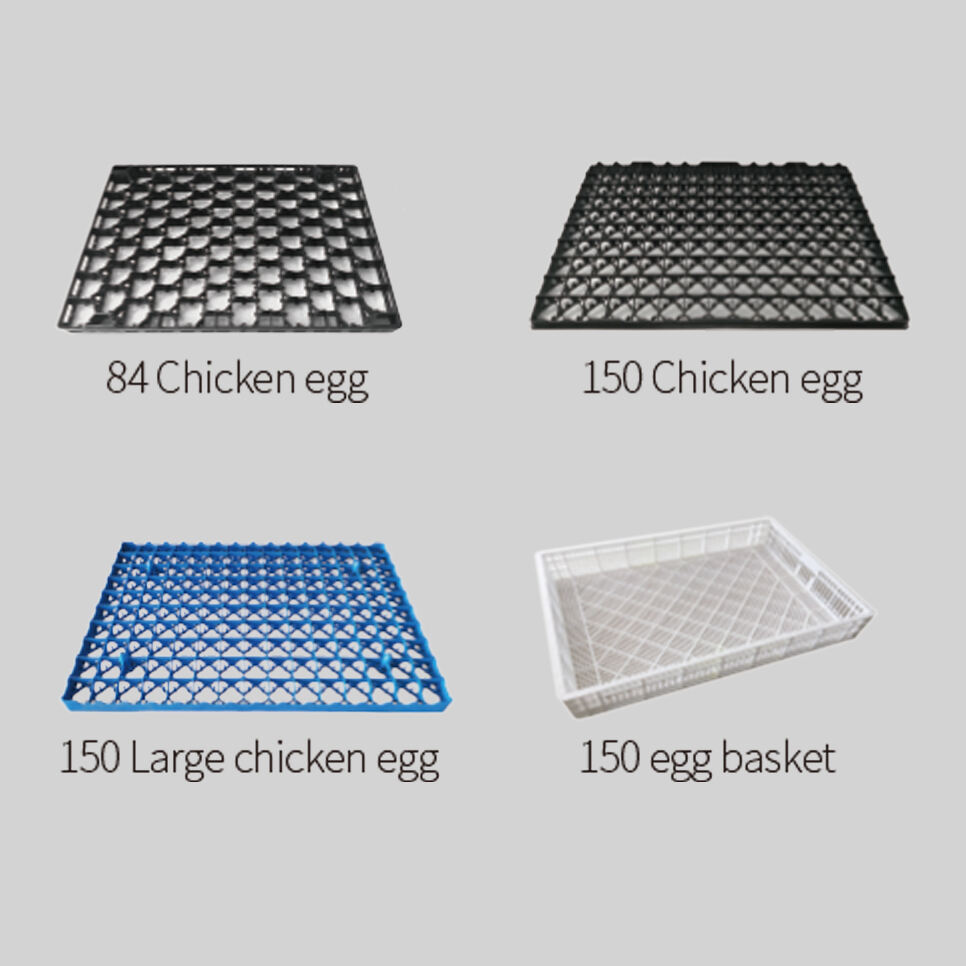 Setter Tray/ Hatcher Basket