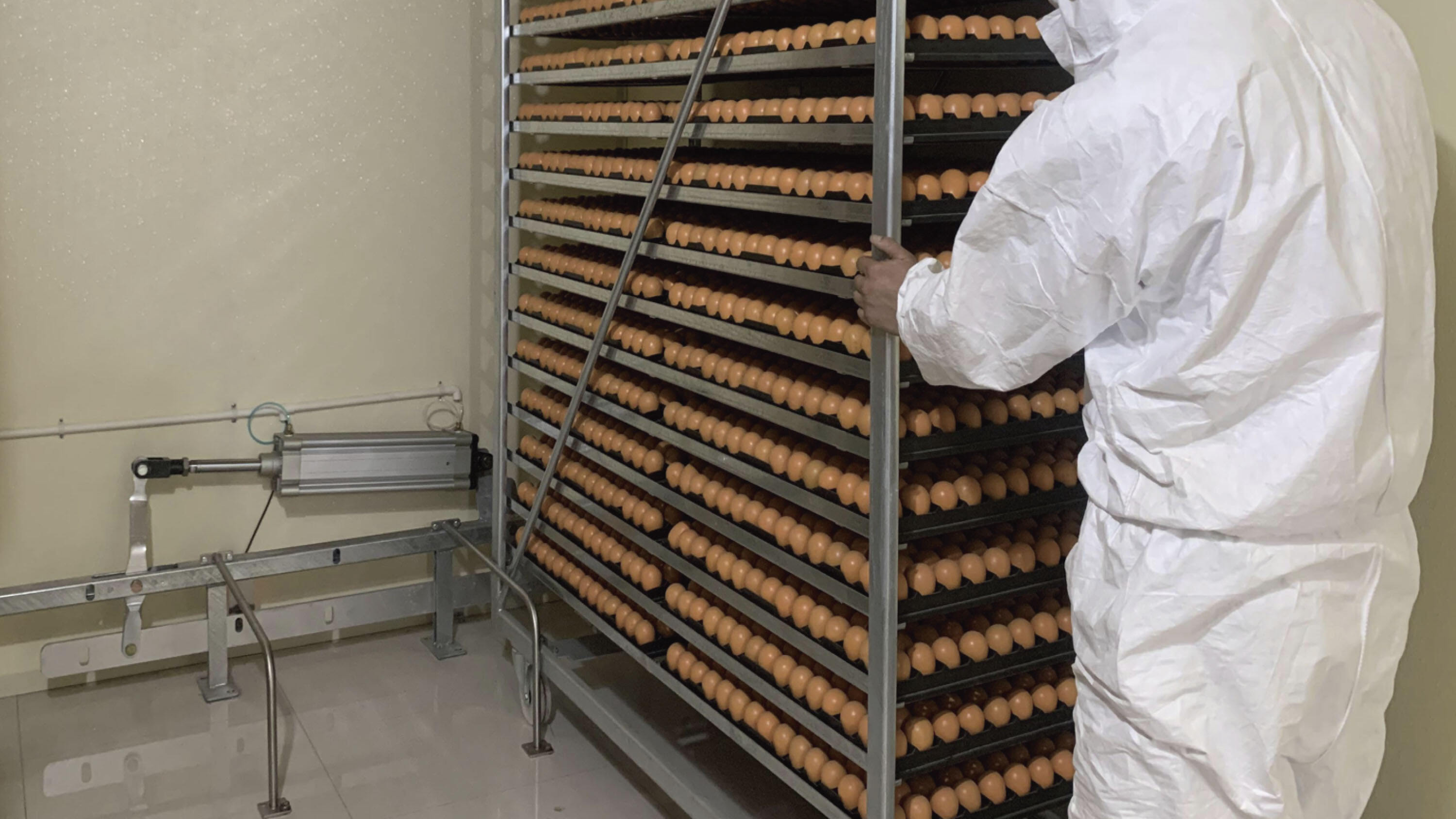 Що таке інкубаторне обладнання та як воно працює?