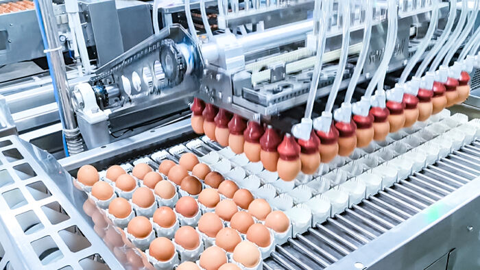 Equipment Before Incubation