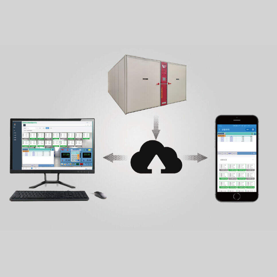 Como a automação dos equipamentos de incubatório pode reduzir a dependência de mão de obra e os erros?