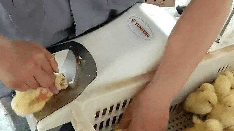 f3.jpg