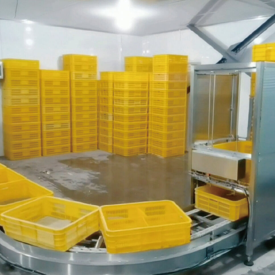 Automatic chick treating system | Chick Handling Equipment | | Beijing ...