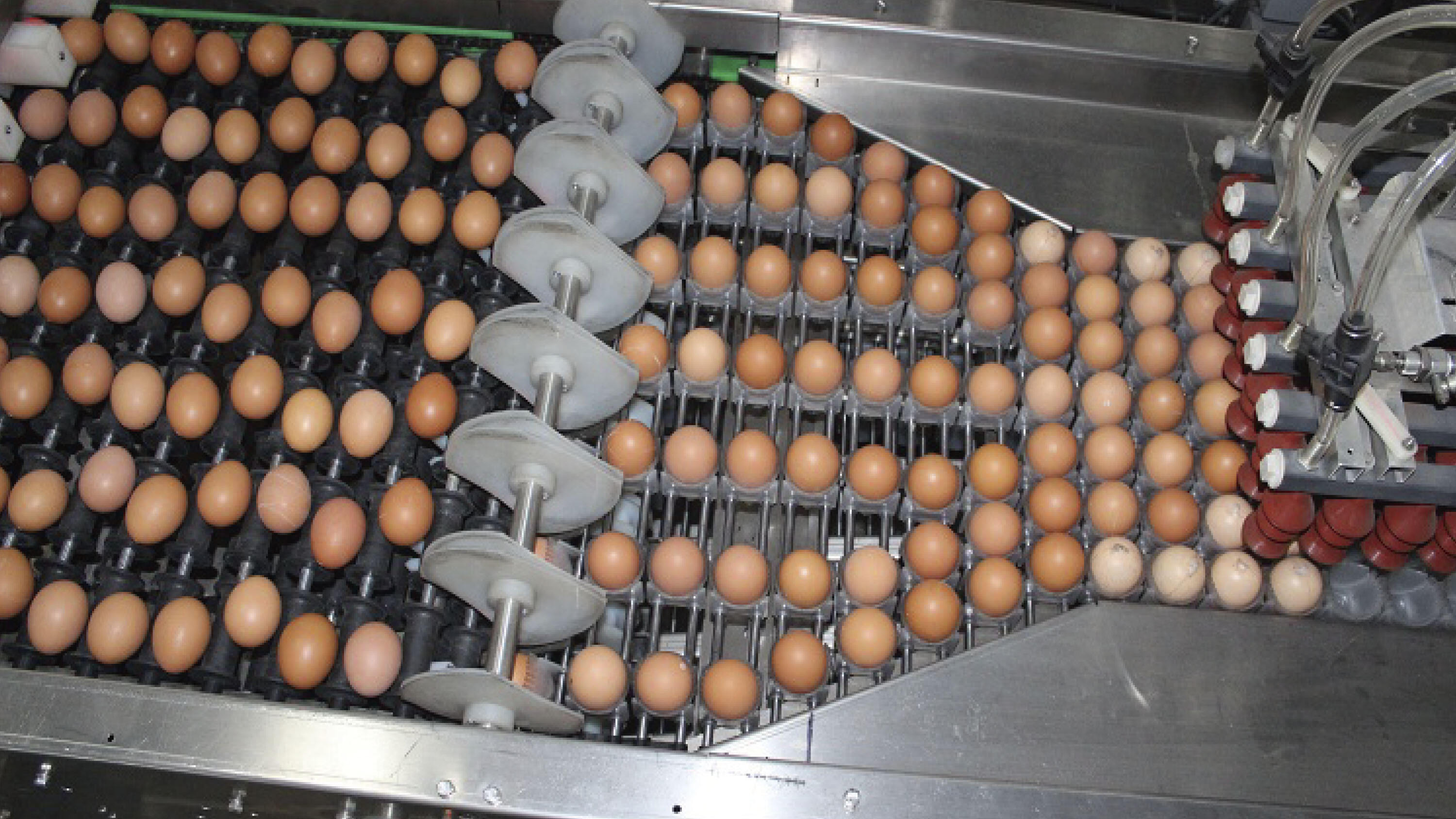 What is an incubator and how does it work?