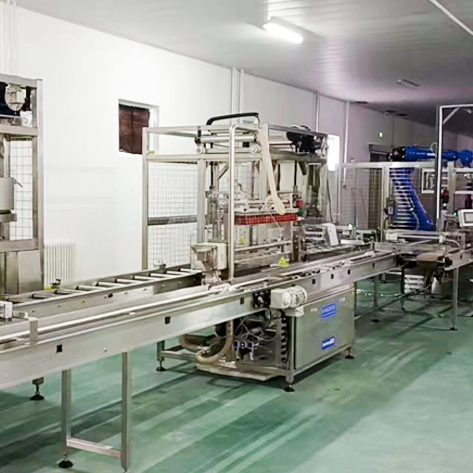 Automatic Candling And Transfer System