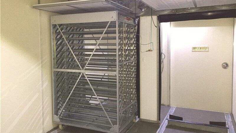 Quando você deve atualizar sua configuração de incubadora de ovos?