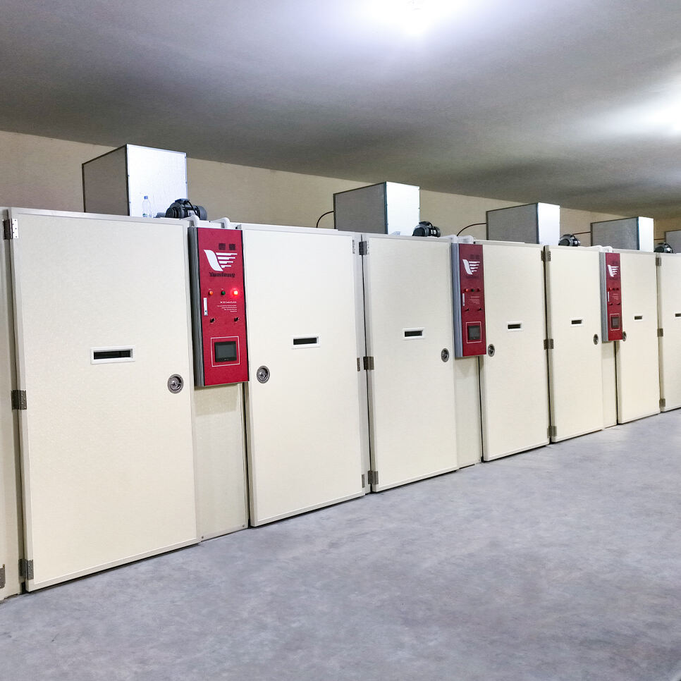 MoreHatch incubators/hatchers