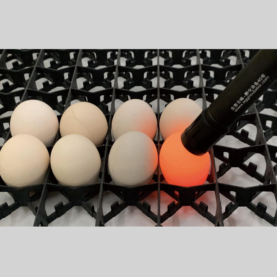 Portable LED egg candler