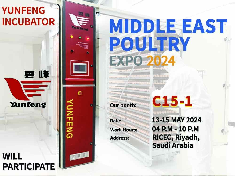 exhibition invitation.jpg